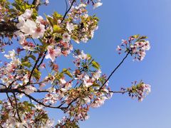 -龙美术馆(西岸馆)