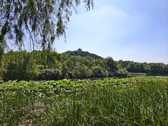 -禹州森林植物园