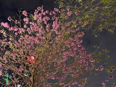 -广州市纺织服装职业学校