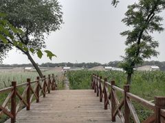 -西青郊野公园