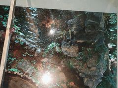 -缘福乡村铁锅炖民宿(八达岭店)