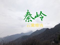 -秦岭风景区