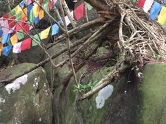 -七仙岭温泉国家森林公园