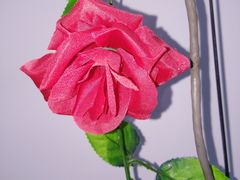 -特优手机电脑维修(中福城二期店)