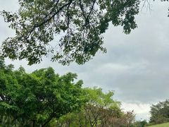 -东莞植物园
