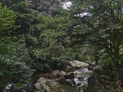 -龙窝子
