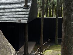 -玉苍山国家森林公园