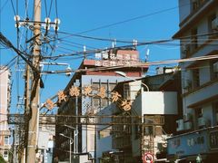 -溪岸路花鸟市场