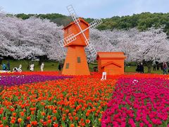 -苏州上方山国家森林公园