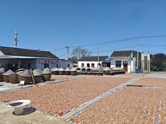 -苏州市吴中区光福窑上花果蜜饯厂