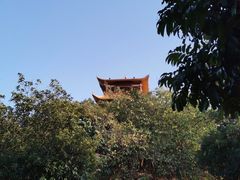 -大屏嶂森林公园