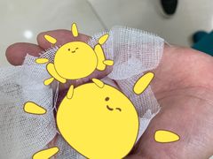 -美联众合动物医院·24h京西诊疗中心