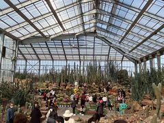 -南通洲际绿博园