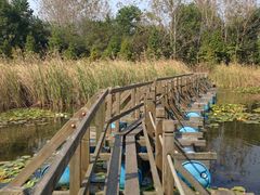 图片&nbsp;160-溱湖国家湿地公园