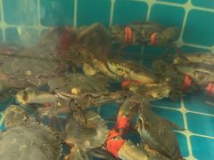 -锅老头铁锅炖•大锅蒸汽海鲜(韩乐坊店)