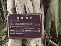 -乌山风景区