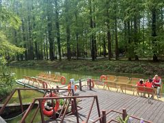 -黄海国家森林公园