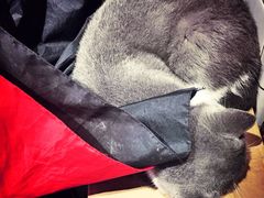 -MIKAKU(万达广场上海宝山店)