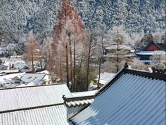-九华山风景区