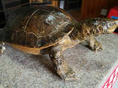 -南京金牛湖风景区