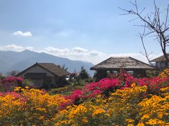 -优游吧斯邹族文化部落