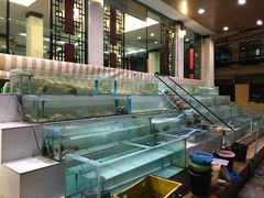 -光海鲜鱼翅餐厅(叻差拉披色路店)