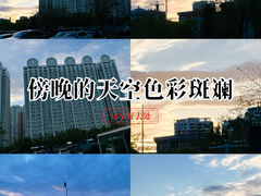 -大青山野生动物园