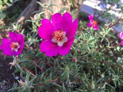 -普陀山风景名胜区-法雨禅寺