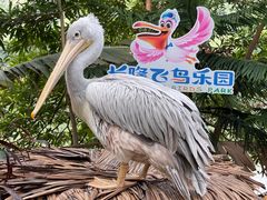 -广州长隆野生动物世界