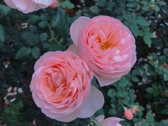 -人民公园(罗湖区)