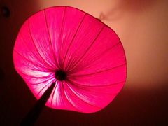 -北纬37°SPA养身会馆(湖西店)