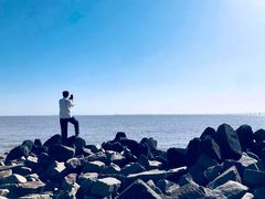 -南汇嘴观海公园