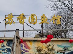 -丁老爷子苏香圆