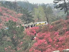 -木兰云雾山
