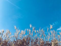 -良渚古城遗址公园