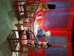 -成都泰迪熊博物馆