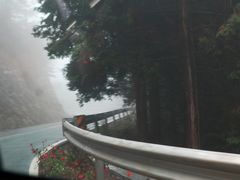 -四明山国家森林公园