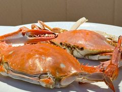 梭子蟹-赶海部落海鲜城(海阳路店)