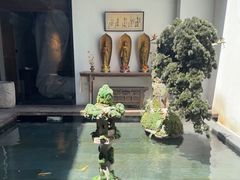 -觀芷隐轩