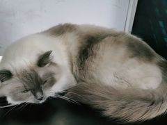 -零纪元VR体验馆·桌游(黄浦店)