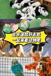 -萌宠亲子动物乐园(槐房万达店)