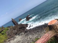 -涉地可支