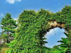 -贵州森林野生动物园