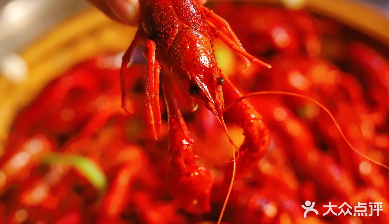 魔都探店｜上海超棒的赶海主题蒸汽海鲜了解一下