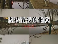 -月湖风景区