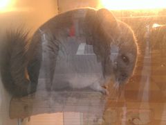 -龙猫仔乐园(惠福东路店)