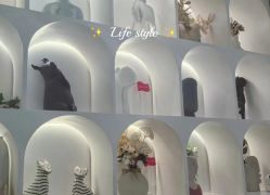 -Lily纤美·科技减脂中心