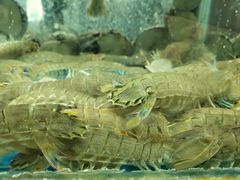 -渔码头食府(蓬莱阁店)