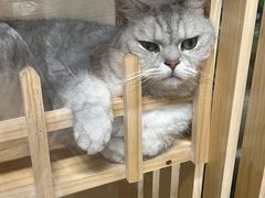 -艺味深尝(云锦路店)