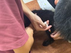-瑞鹏宠物医院微创手术中心(西乡分院)